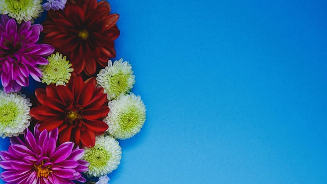 有深远的影 有深远的影