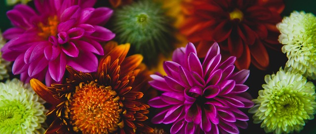 比赛中表现 比赛中表现