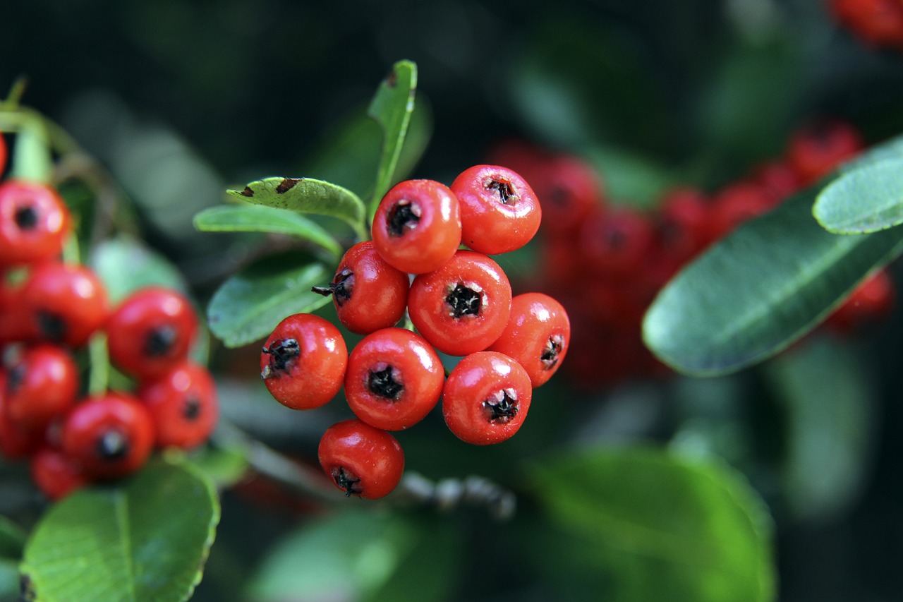 的篮球素养 的篮球素养