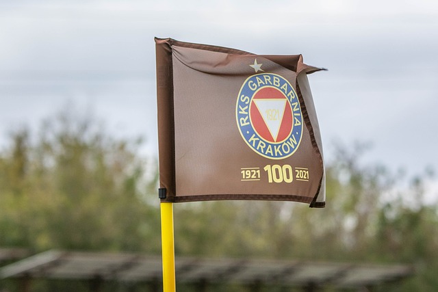 在场上的领 在场上的领