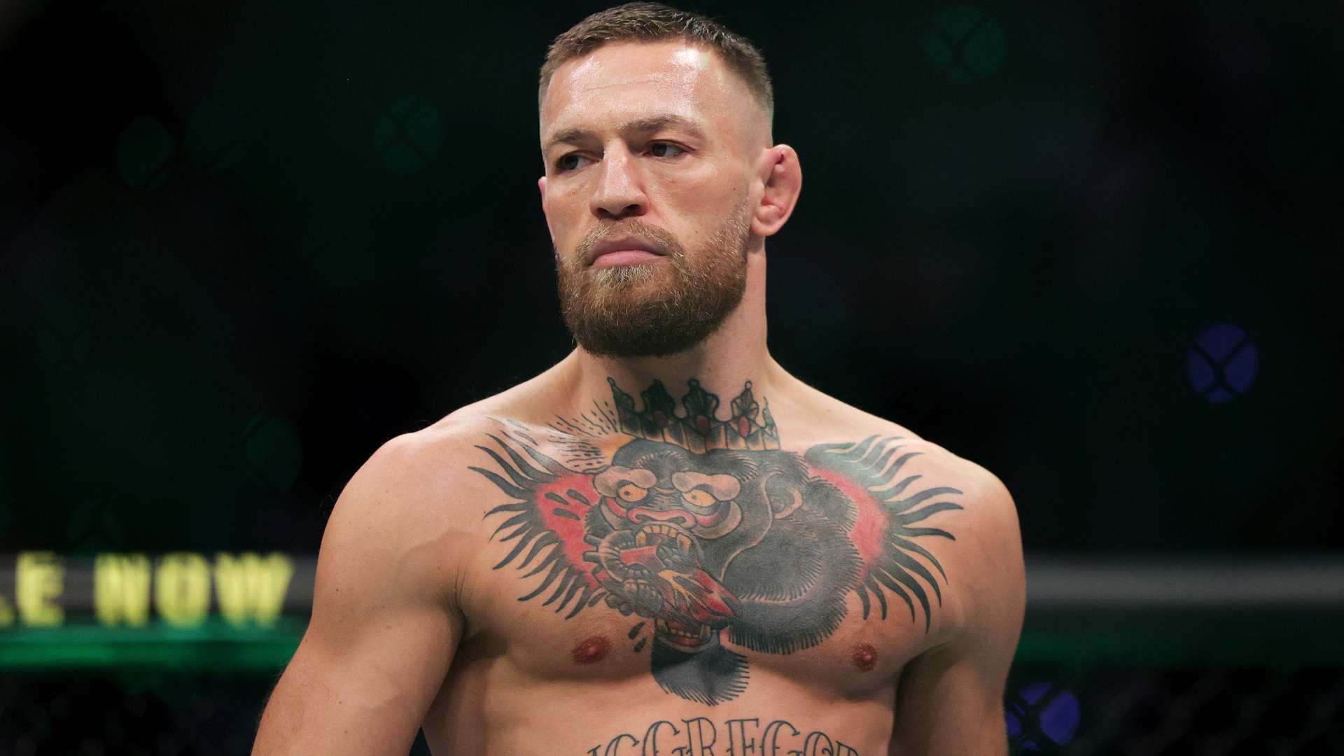 无数年轻人 无数年轻人