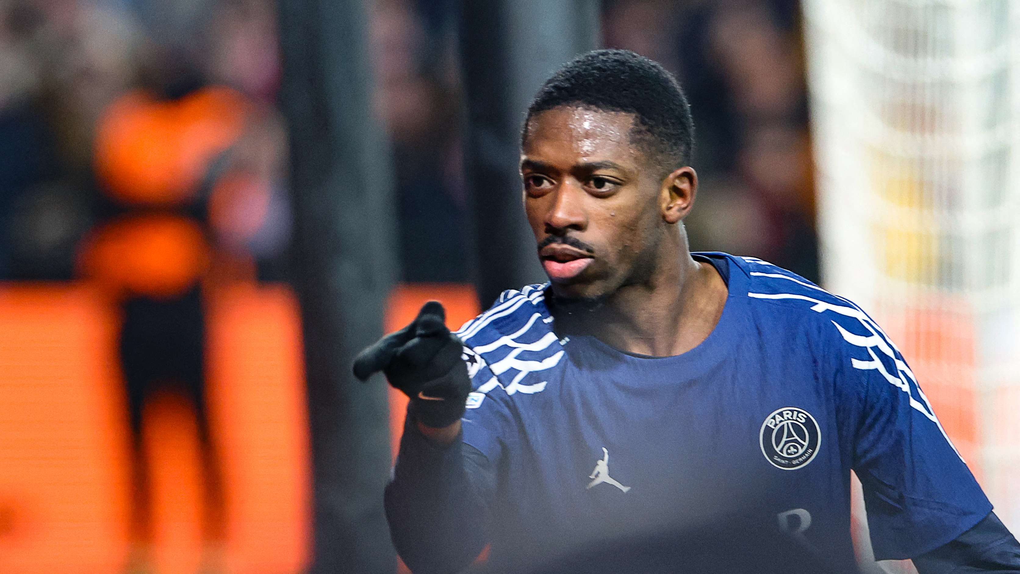 互動不僅體 互動不僅體